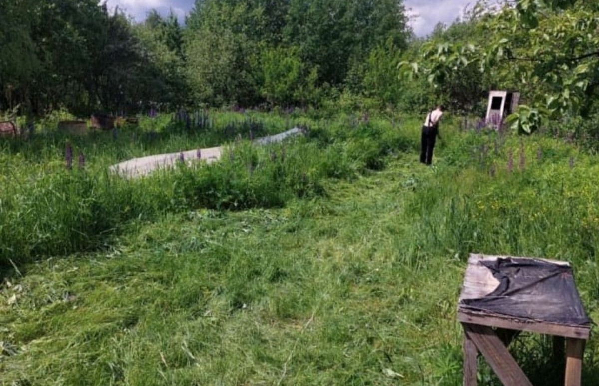 Снт ягодное богородский. Деревня Ягодное Нижегородская область. СНТ Ягодное Нижегородская область Богородский район. Адрес СНТ Ягодное.