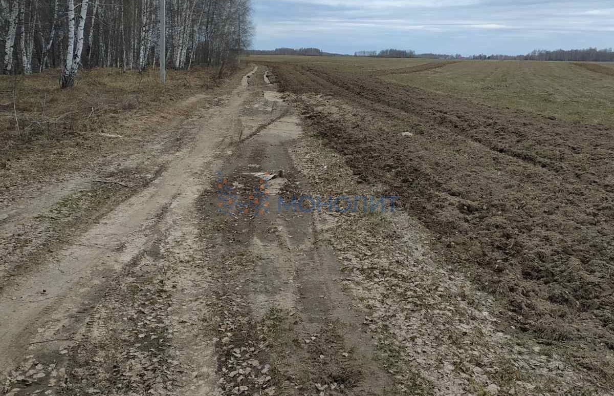 Купить Дом Деревня Пруды Богородский Район