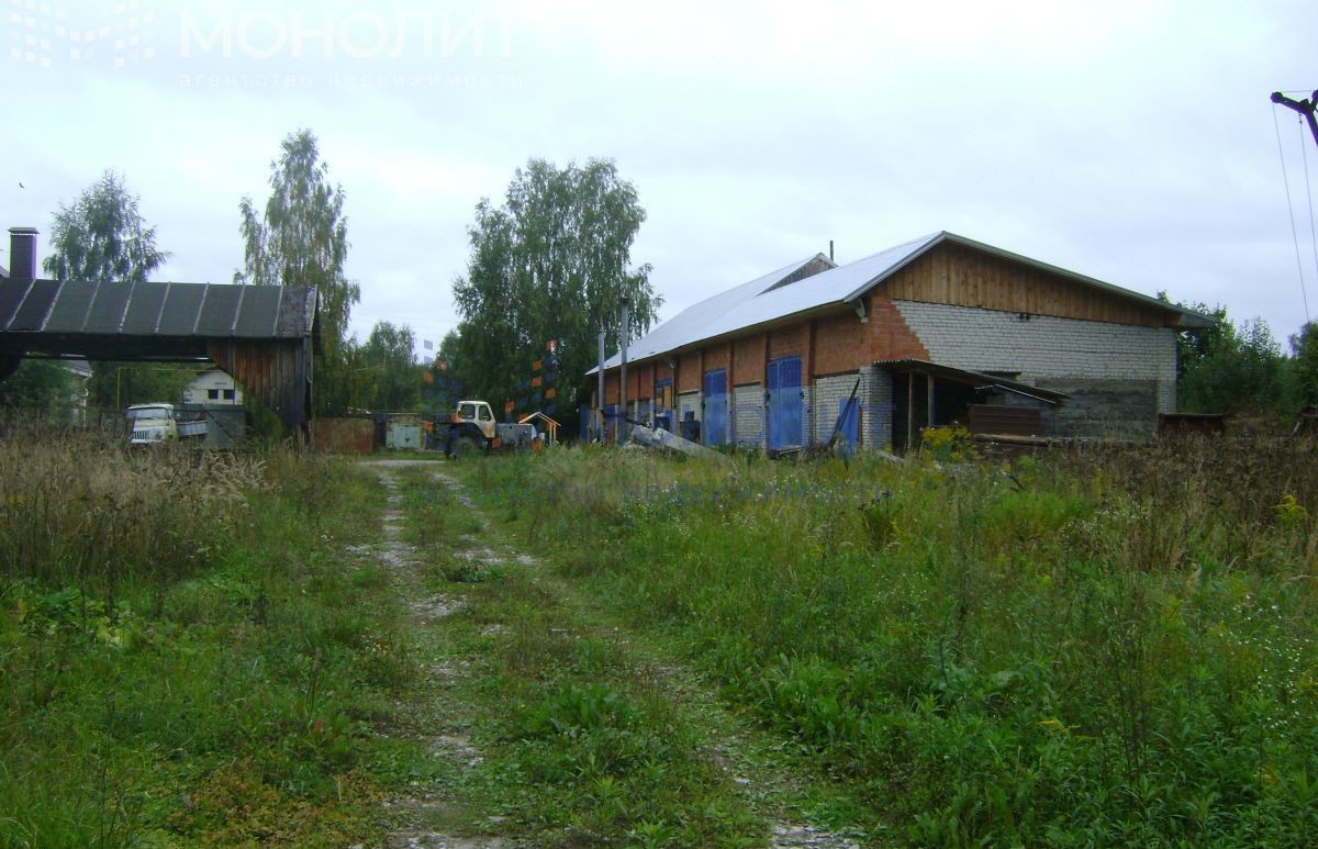 Дер зуево. Деревня Зуево Нижегородская область Семеновский район. Д Зуево Борский район Нижегородская область. Деревня Зуево Нижегородская область Борский район. Ул Полевая Бор Нижегородская область.