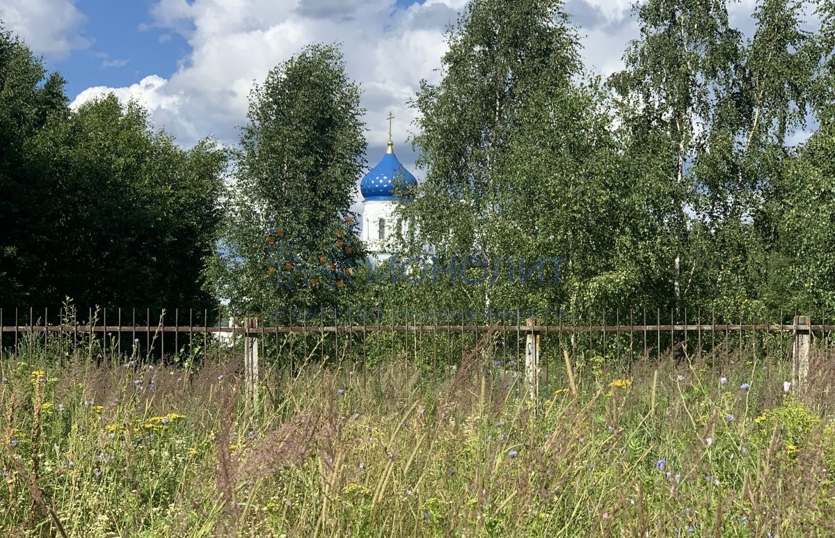 Кожевенное нижегородская область. Кожевенное Богородский район. Деревня Кожевенное Богородского района Нижегородской области.